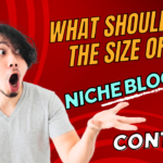 What Should Be The Size Of A Niche Blogging Content?