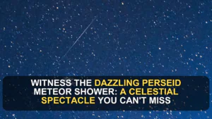 Witness the Dazzling Perseid Meteor Shower: A Celestial Spectacle You Can't Miss