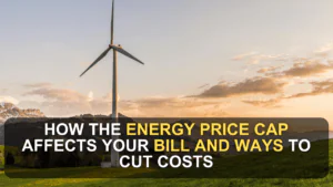 How the Energy Price Cap Affects Your Bill and Ways to Cut Costs