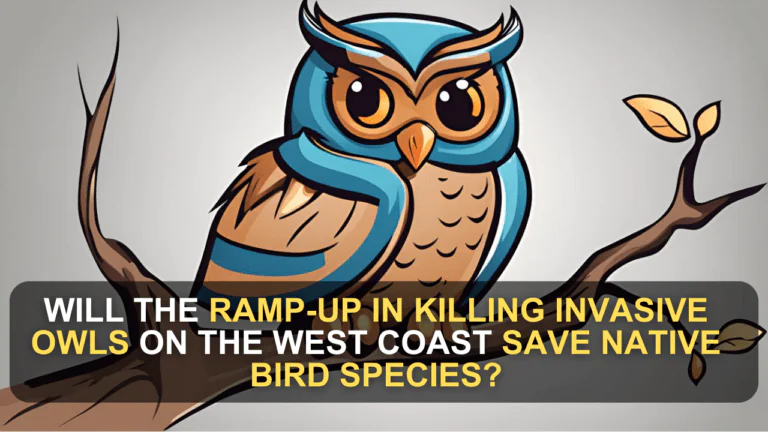 Will the Ramp-Up in Killing Invasive Owls on the West Coast Save Native Bird Species?